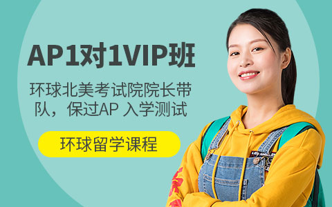 AP一对一VIP课程