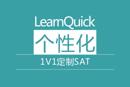 SAT1对1