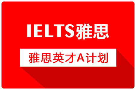 A计划