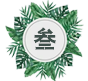 单项