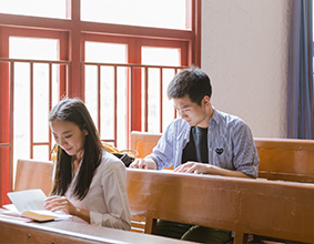 学习顾问