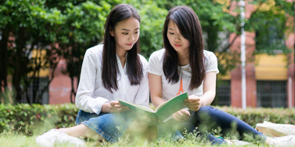 学习测试、吸收闭环