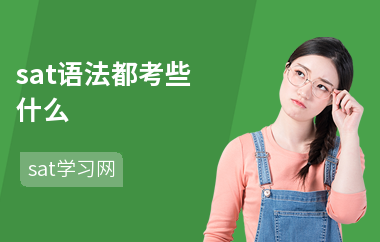 sat语法都考些什么