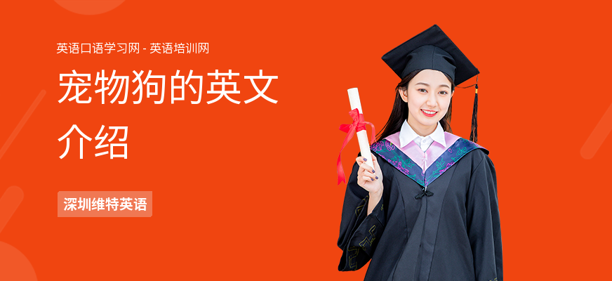 宠物狗的英文介绍