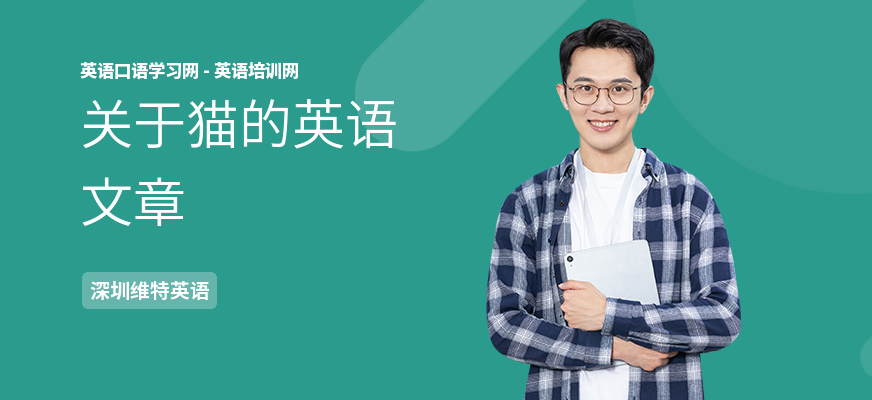 关于猫的英语文章