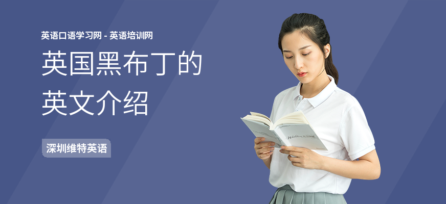 英国黑布丁的英文介绍