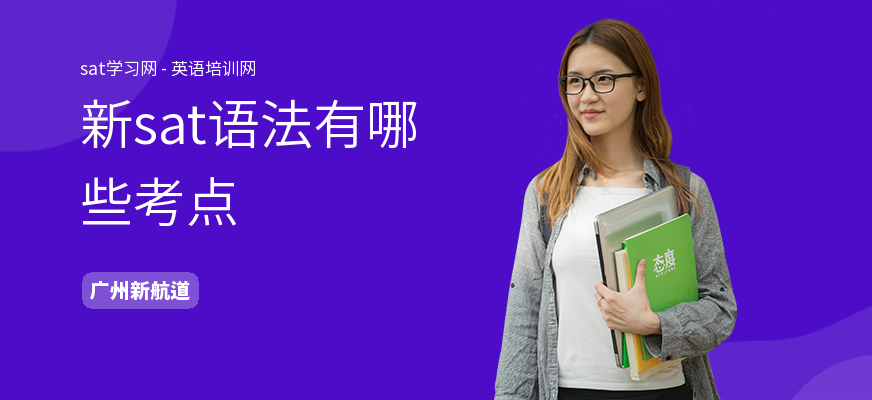 新sat语法有哪些考点
