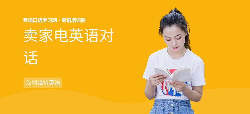 卖家电英语对话