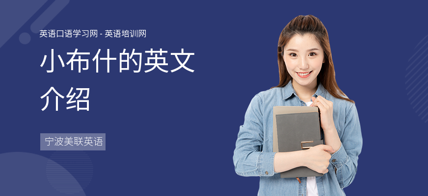 小布什的英文介绍